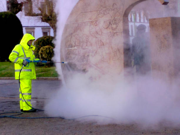 Best House Pressure Washing  in Moore Haven, FL