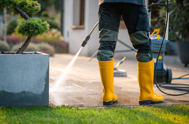 Best Local Pressure Washing Services  in Moore Haven, FL